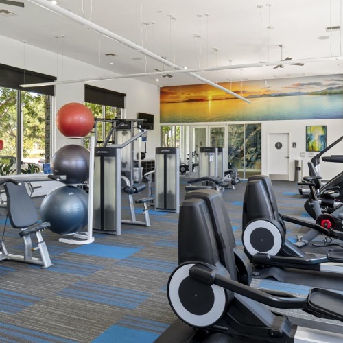 a gym with exercise equipment